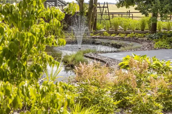 Landscaped garden with water feature and planting in Norfolk by Acorn to Oak.